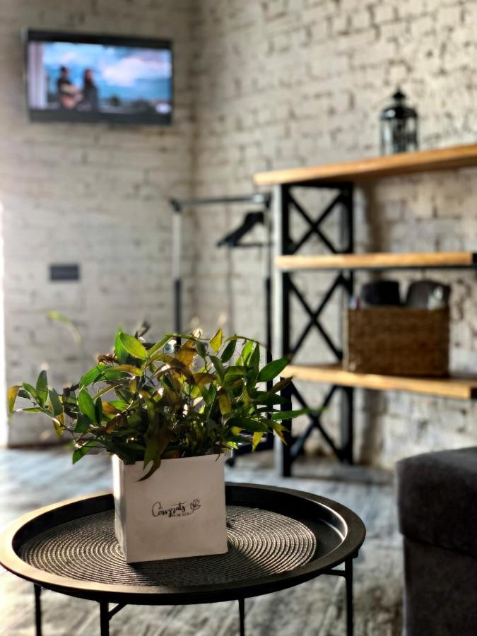 Luxury_Loft Appartement Kamjanets-Podilsky Buitenkant foto
